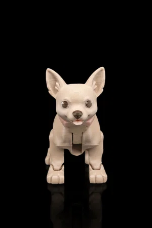 Figura de tu mascota